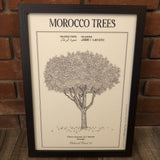 MyTindy ORANGE TREE Botanical board Poster, view 3