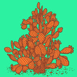 MyTindy PRICKLY PEAR CACTUS Botanical board version POP Poster, view 5