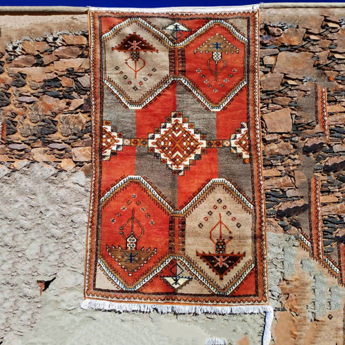 MyTindy Red and Brown Moroccan Rug