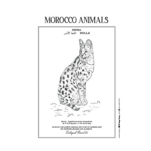 MyTindy SERVAL Poster