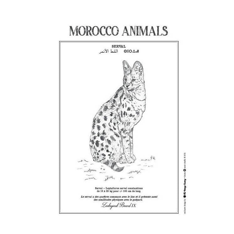 MyTindy SERVAL Poster