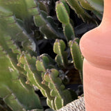 MyTindy Tanit Vase, view 2