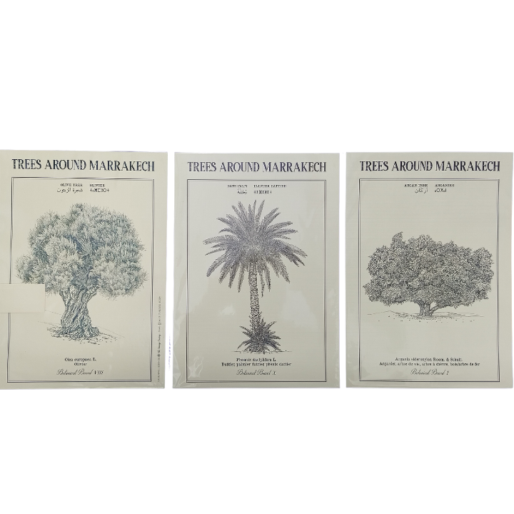 MyTindy Trees of Morocco Trio Botanical board