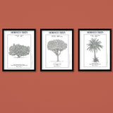 MyTindy Trees of Morocco Trio Botanical board, view 2
