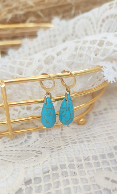 MyTindy Turquoise Earrings