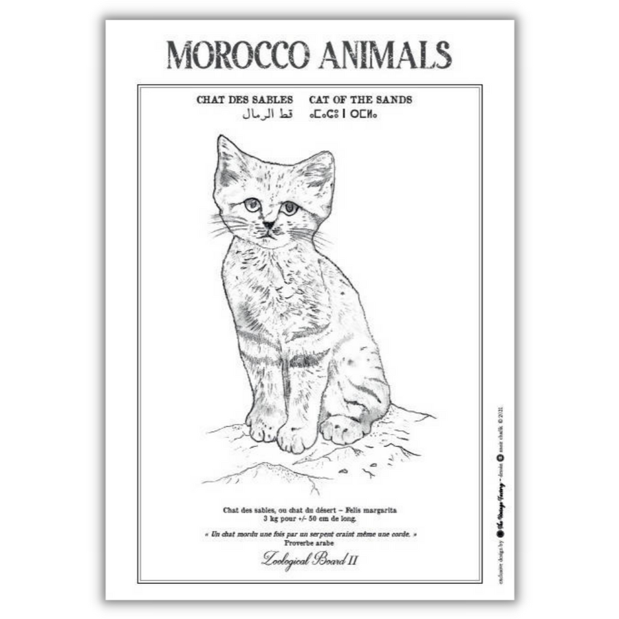 MyTindy Zoological chart CHAT DES SABLES Poster