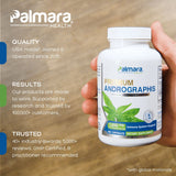 Natural Cure Labs Premium Andrographis Extract | Palmara Health, view 3