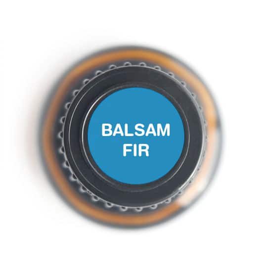 Nature's Fusions Balsam Fir Essential Oil 15ml 15ml, view 5