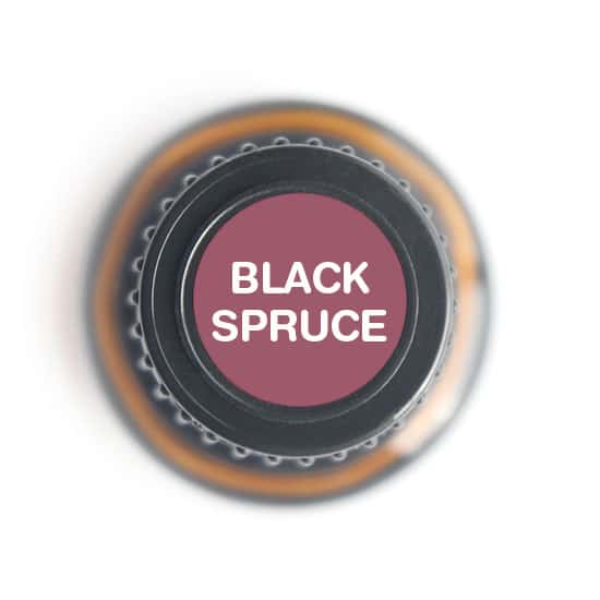 Nature's Fusions Black Spruce Essential Oil 15ml, view 5