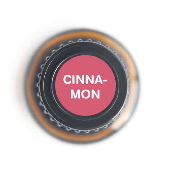 Nature's Fusions Cinnamon Bark Essential Oil 15ml, view 5