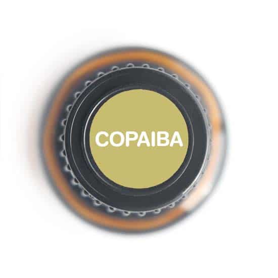 Nature's Fusions Copaiba Essential Oil 15ml, view 5