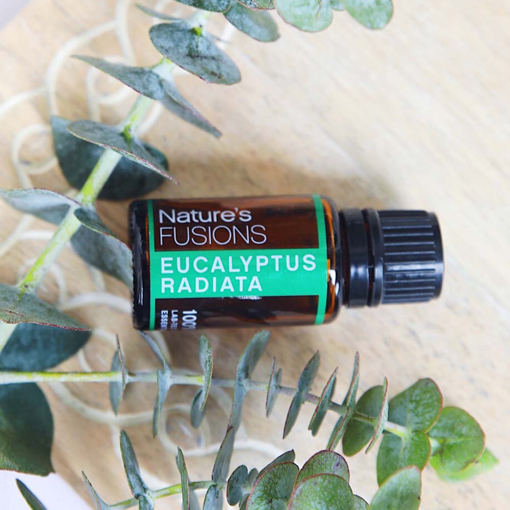 Nature's Fusions Eucalyptus Essential Oil 15ml, view 3