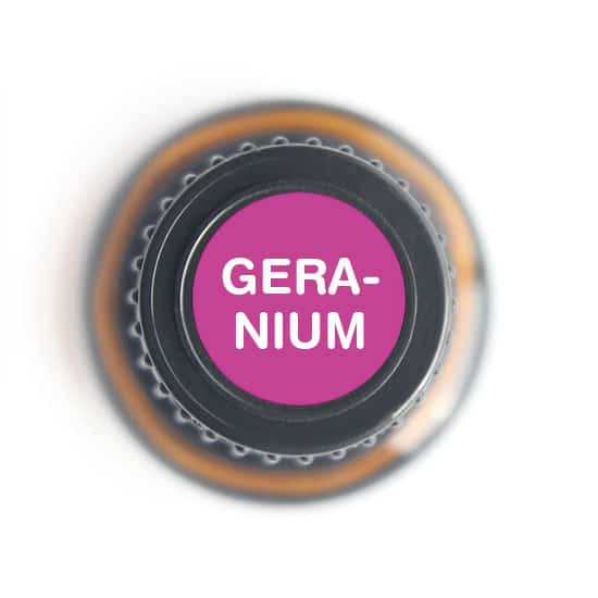 Nature's Fusions Geranium Essential Oil 15ml, view 5