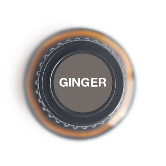 Nature's Fusions Ginger Root Essential Oil 15ml, view 5