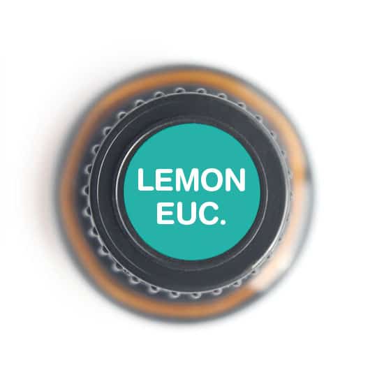Nature's Fusions Lemon Eucalyptus Essential Oil 15ml, view 5