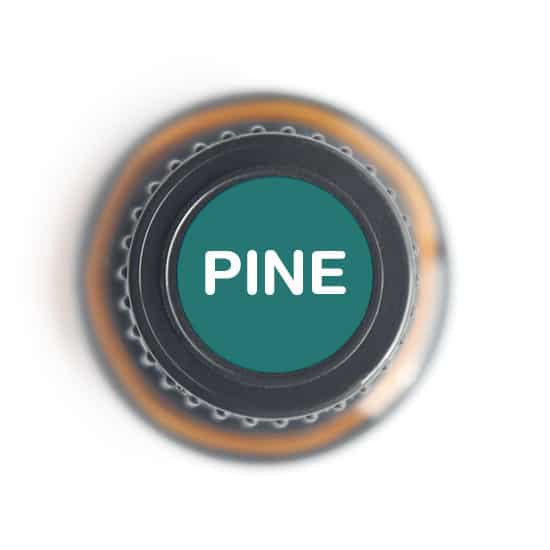 Nature's Fusions Pine Essential Oil 15ml, view 5