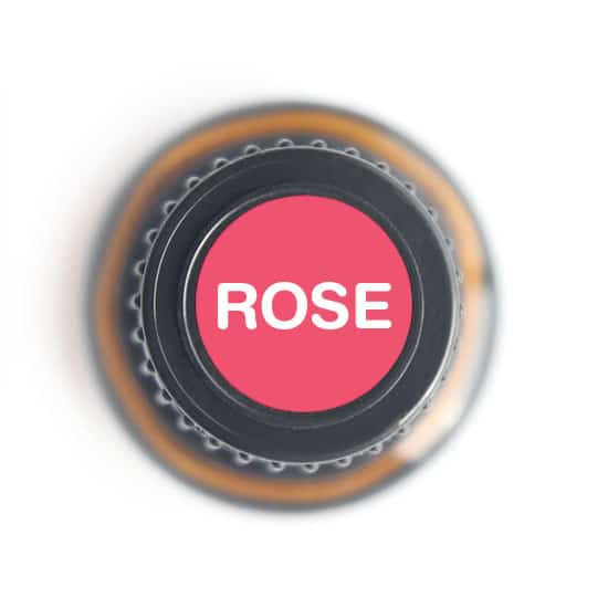Nature's Fusions Rose Absolute Essential Oil 15ml, view 5