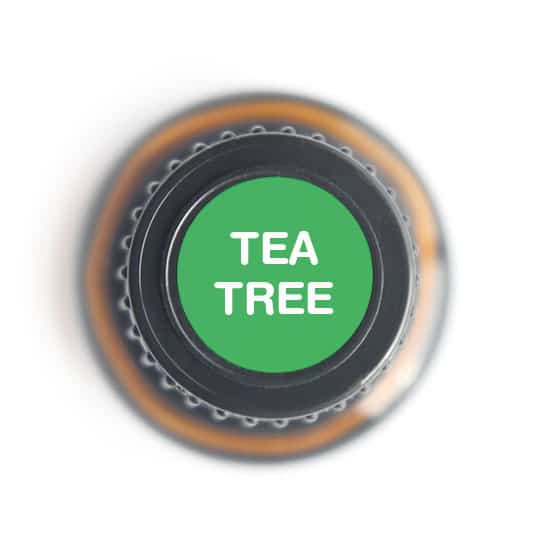 Nature's Fusions Tea Tree Essential Oil 15ml, view 5