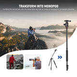 NEEWER TP77 77" 2 In 1 Camera Tripod Monopod, view 6
