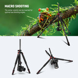 NEEWER N284L+G0 Camera Tripod Monopod, view 5