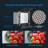 NEEWER NL660 2.4G Bi-Color LED Video Light, view 2