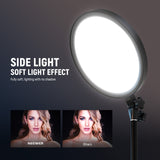 NEEWER BASICS BR13 12" Full Screen Ring Light, view 3