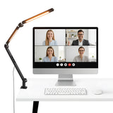 NEEWER BASICS ME-DL02 12W Clip On LED Lamp, view 2