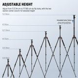 NEEWER BASICS TP15 71" Camera Tripod Monopod, view 3
