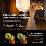 NEEWER CB300C 300W COB RGBWW LED Video Light, view 4