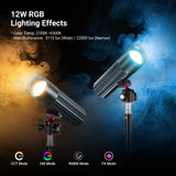NEEWER FL12C Photography Spotlight, view 2
