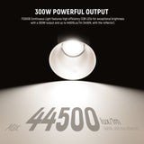 NEEWER FS300B 300W Bi-Color LED Video Light, view 2