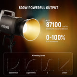 NEEWER FS600B 600W Bi-Color LED Video Light, view 2