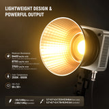 NEEWER HS200B 280W Portable Bi-Color LED Video Light, view 2