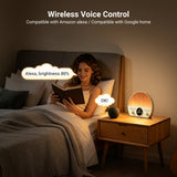 NEEWER NF03 Sunrise Alarm Clock Smart Wake Up Light, view 5