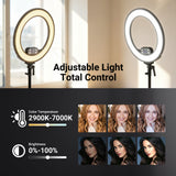 NEEWER RB18B 18" Edge-Lit LED Cordless Ring Light, view 3