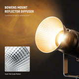 NEEWER RF1/RF2 Fish Scale Pattern Standard Reflector Diffuser, view 2