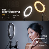 NEEWER High Power Bi-Color Desk Ring Light, view 2
