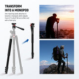NEEWER TP63/TP64 Overhead Horizontal Camera Tripod Monopod, view 5