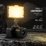 NEEWER On Camera Dimmable 176 LED Lighting Panel, view 2