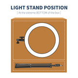 NEEWER RP20-B 20" Bi-color Ring Light Kit, view 3