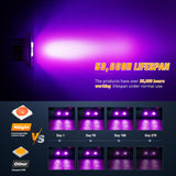 Nilight Flush Mount LED Light Pods 2 PCS 42 W Purple Upgraded Spot Flood Combo Bumper Driving Decoration Neon Light Bar Off Road Lights 12V 24V Lighting for Truck ATV UTV SUV Pickup Van Boat Tractor, view 3