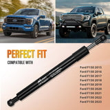 Nilight Pickup Tailgate Assist Shock Accessories for 15-24 Ford F150, Truck Tail Gate Lift Assist Tailgate Shock Damper fit for Ford F-150 2015 2016 2017 2018 2019 2020 2021 2022 2023 2024, view 3