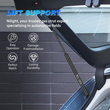 Nilight Rear Hatch Struts 6657 for Dodge Challenger 2008-2016, Tailgate Lift Supports Rear Door Shocks 12 Inch, 2PCS Set Rod, view 6