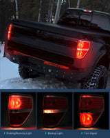 Nilight Taillight Assembly Compatible with 2009 2010 2011 2012 2013 2014 Ford F-150 F150 Pickup Truck Taillight Rear Lamp Replacement OE Style Red Housing Passenger side Chrome Trim, view 3