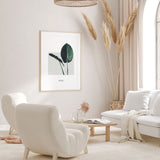 Nordic Peace Alocasia Macrorrhizos, view 6