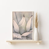 Nordic Peace Agave, view 2
