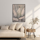 Nordic Peace Agave, view 5