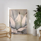 Nordic Peace Agave, view 6