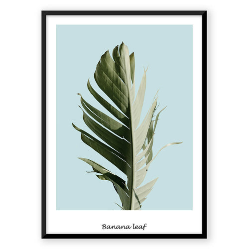 Nordic Peace Banana Leaf