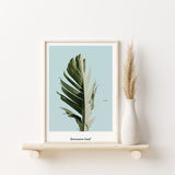 Nordic Peace Banana Leaf, view 2